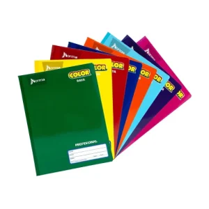 Cuaderno Profesional Cosido NORMA 100H Raya